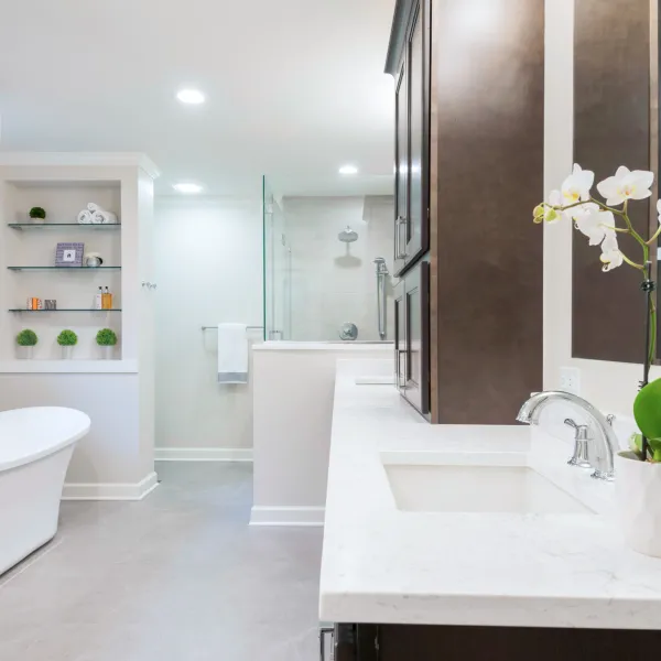 Modern Palatine primary bathroom remodel with soaking tub, custom vanity, quartz countertops, and glass shower.