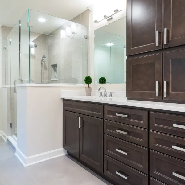 Modern bathroom remodel in Palatine, IL featuring dark wood cabinets, white quartz countertop, and glass shower enclosure.