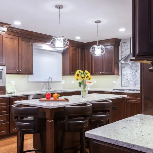 Palatine kitchen remodel with dark wood cabinets, granite countertops, stainless steel appliances, and modern lighting.